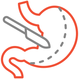 Surgical Gastro