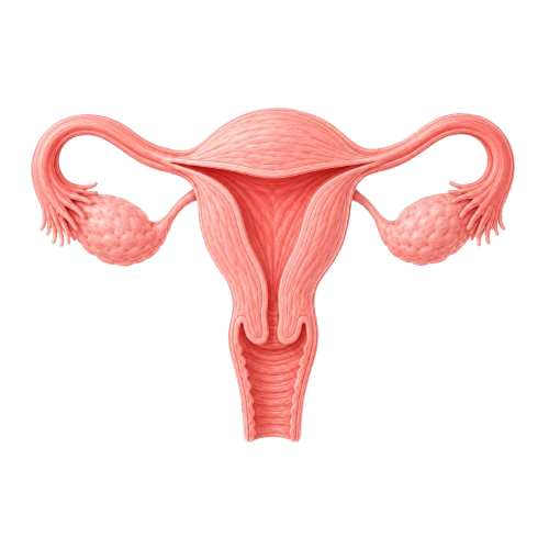 Obstetrics & Gynaecology